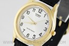 Ceas Casio Collection MTP-1093Q-7B1