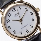 Ceas Casio MTP-1095Q-7B